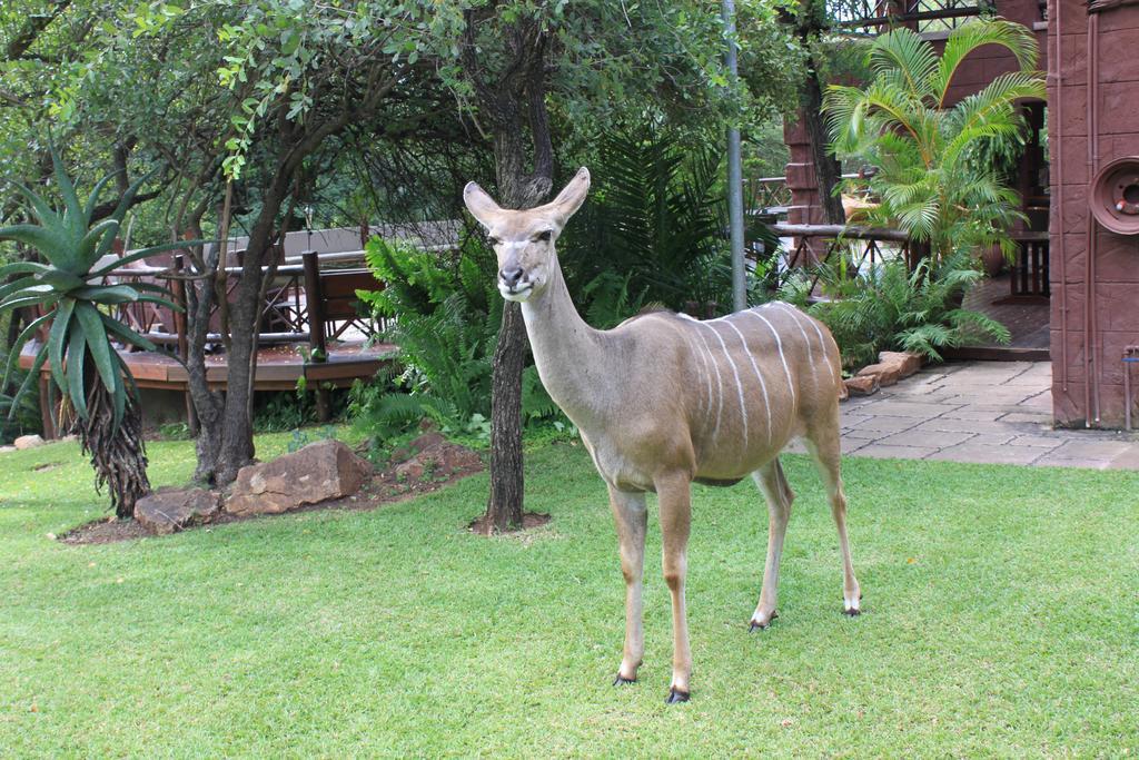 Grand Kruger Lodge And Spa Marloth Park Esterno foto