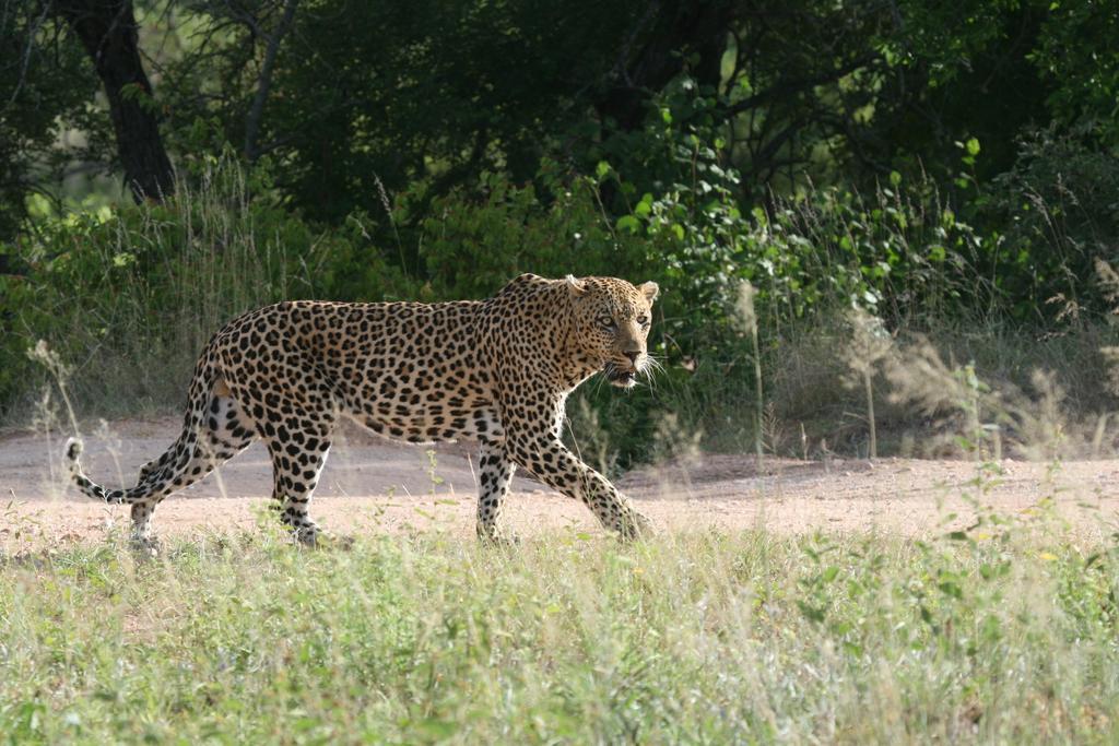 Grand Kruger Lodge And Spa Marloth Park Esterno foto